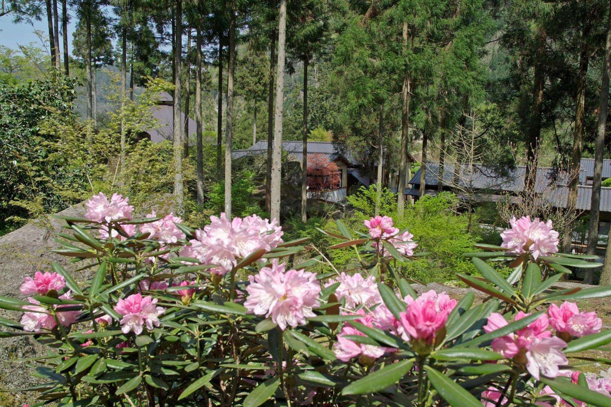 Auberge Funoki Nakatsu Exteriör bild