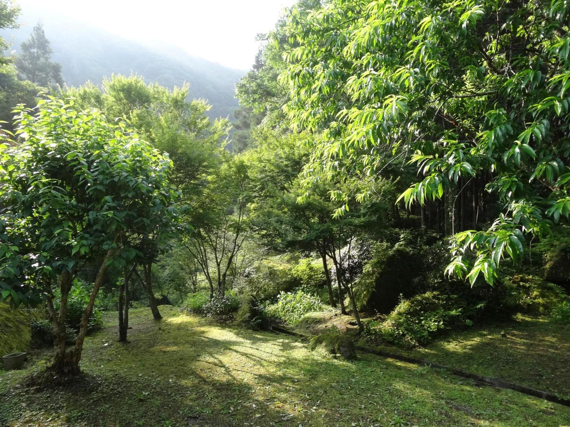 Auberge Funoki Nakatsu Exteriör bild